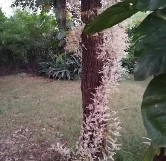 בית מלון כפרי Tranquility Homestay