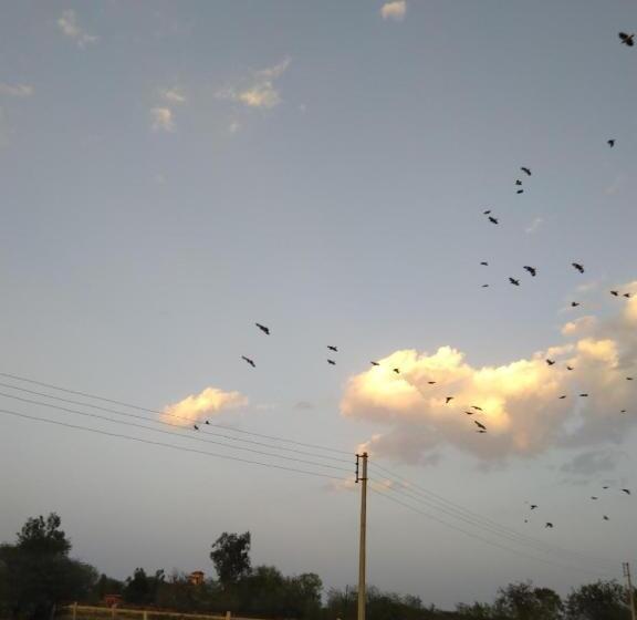 בית מלון כפרי Tranquility Homestay