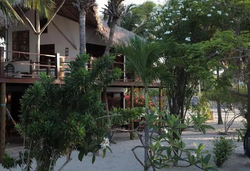 ペンション Casa Camurupim
