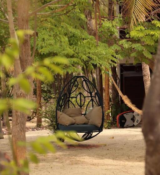 פנסיון Casa Camurupim