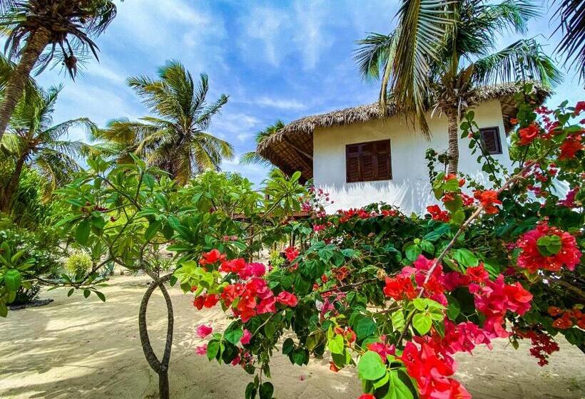 פנסיון Casa Camurupim