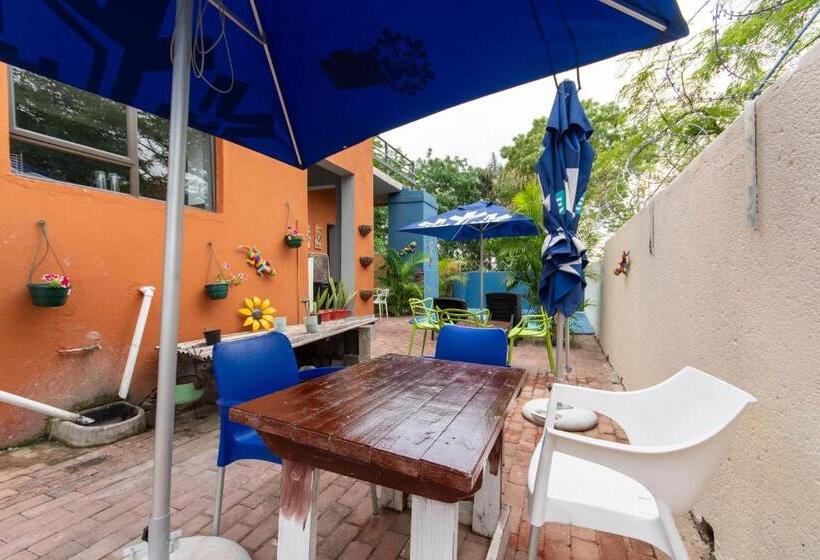 Pensjonat Woodpeckers Guest House