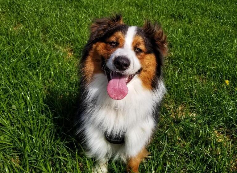 פנסיון La Dolce Vita   Chambre Amerigo Vespucci