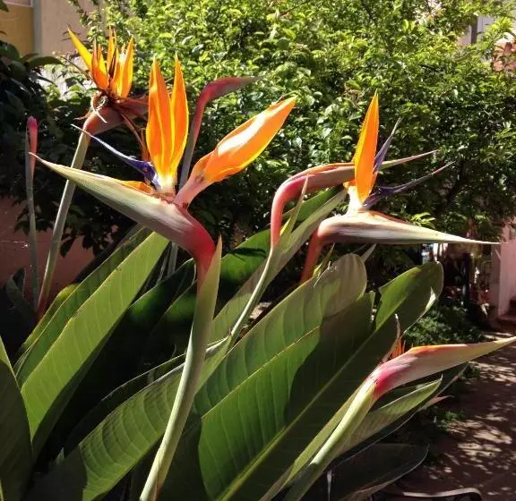 تختخواب و صبحانه Affittacamere Ciro's House