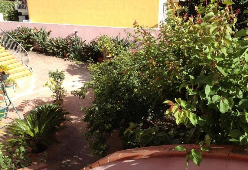 ベッドアンドブレックファースト Affittacamere Ciro's House