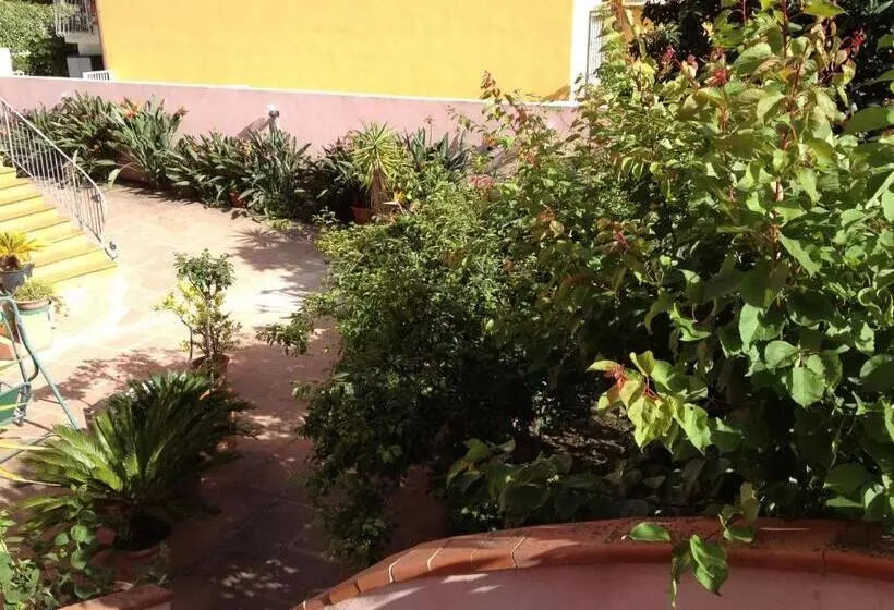 تختخواب و صبحانه Affittacamere Ciro's House