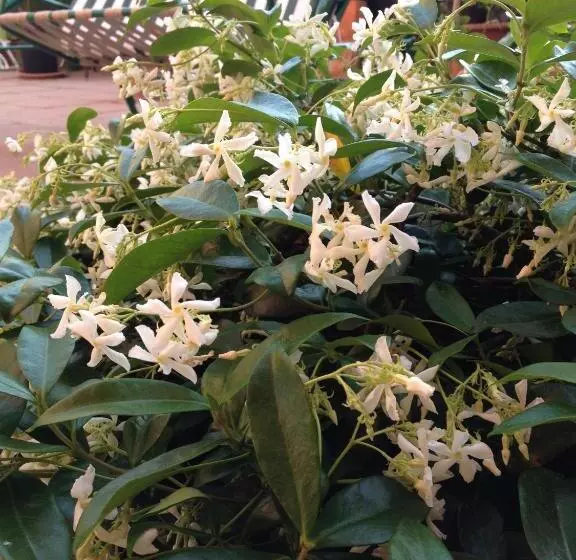 تختخواب و صبحانه Affittacamere Ciro's House