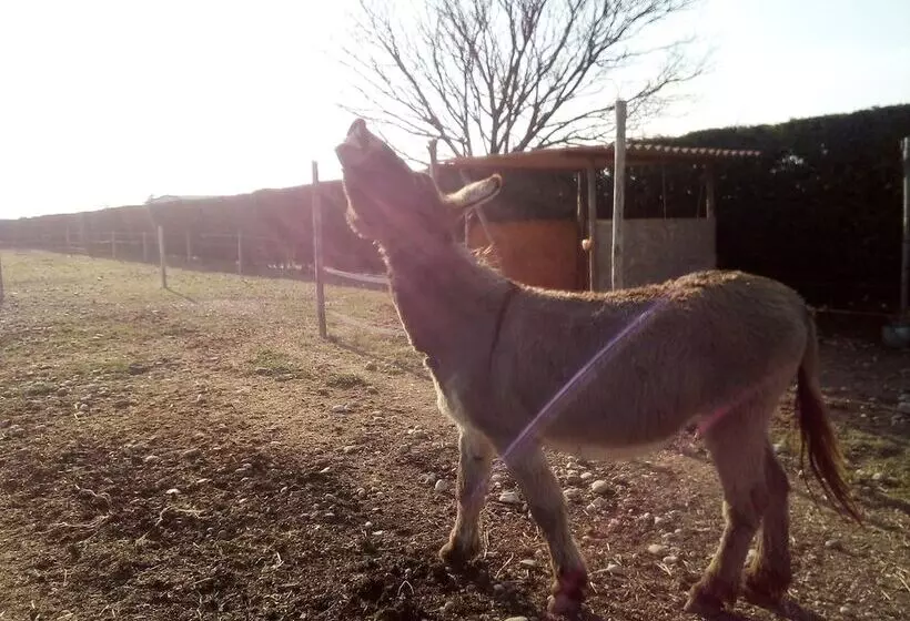 هتل Agriturismo Alle Quattro Stagioni