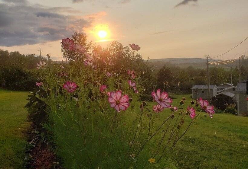 فندق Antigonish Evergreen Inn