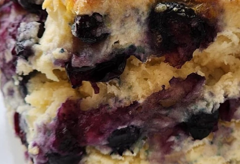 فندق Antigonish Evergreen Inn