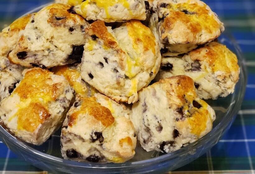 فندق Antigonish Evergreen Inn