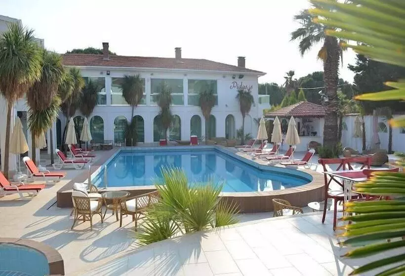 בית מלון כפרי Pidasus