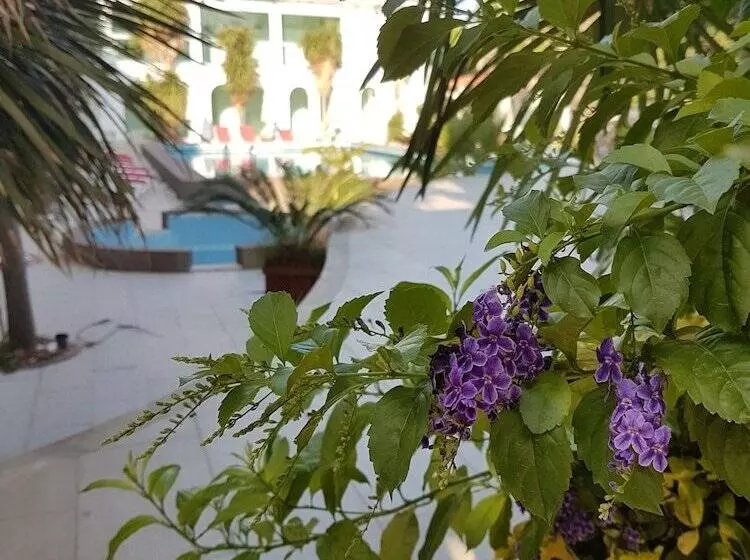 בית מלון כפרי Pidasus