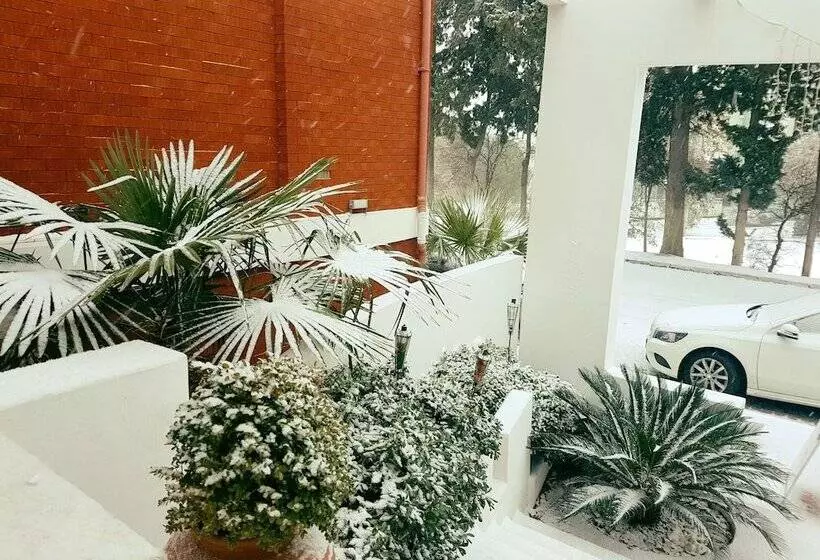 בית מלון כפרי Pidasus