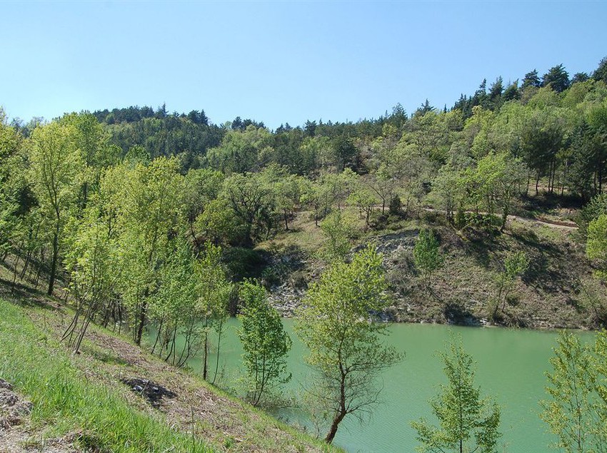 ホテル Riserva Privata Tenuta San Settimio