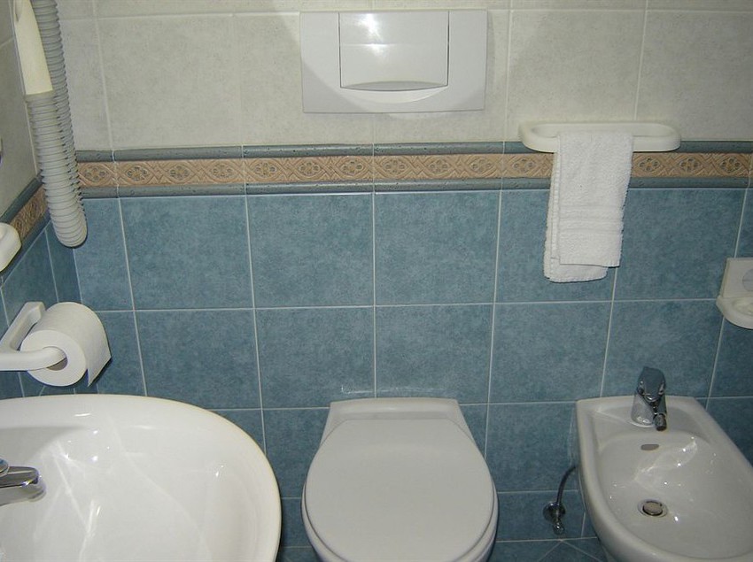 ホテル Stella Alpina