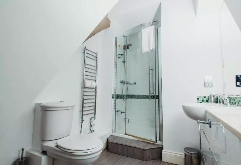 هتل The Old Palace Lodge