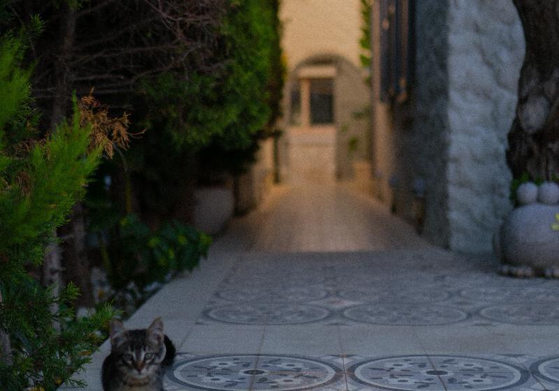 Vintage Hotel Alacati