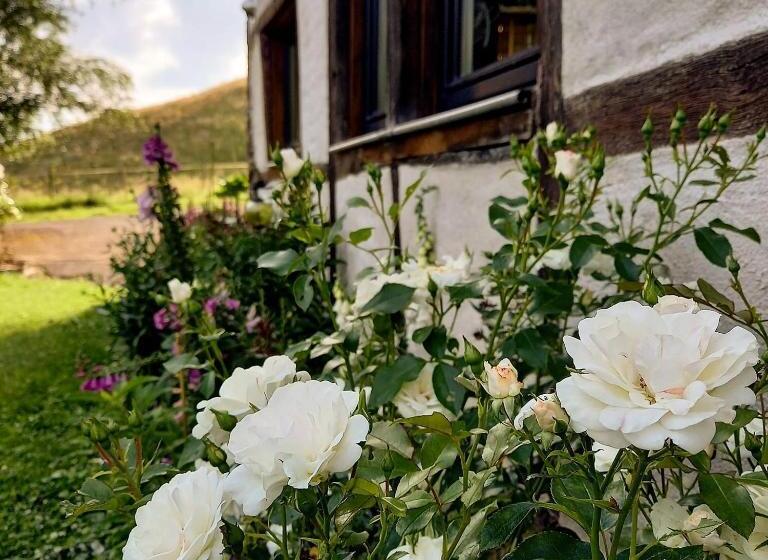 پانسیون Le Clos Du Cerf Le Sous Bois