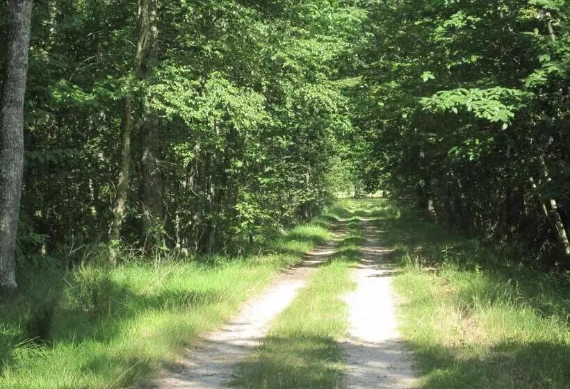 Majatalo Le Clos Du Cerf   Le Sous Bois