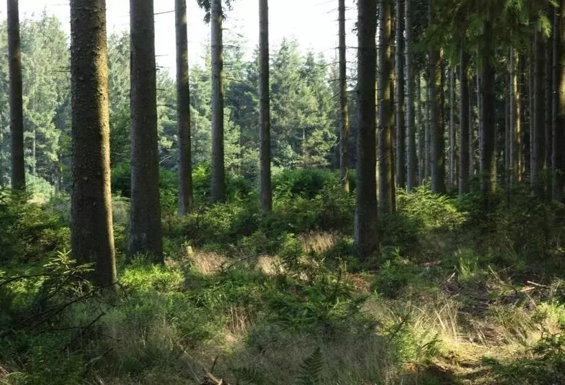 Majatalo Le Clos Du Cerf   Le Sous Bois
