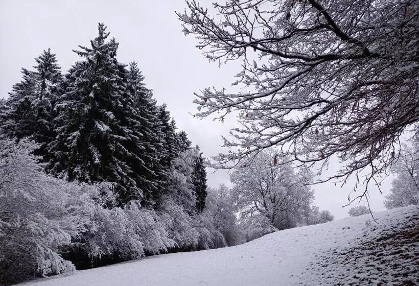 Majatalo Le Clos Du Cerf   Le Sous Bois