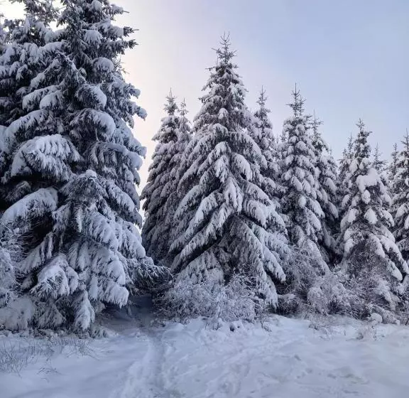 Majatalo Le Clos Du Cerf   Le Sous Bois