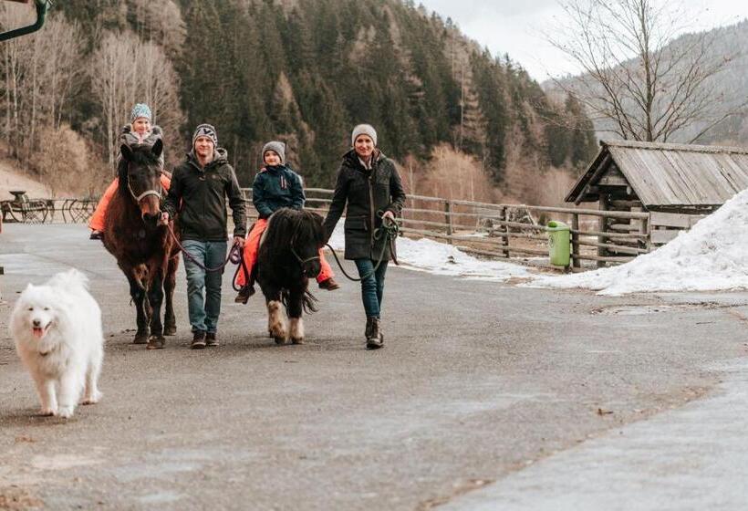 فندق Adelwöhrer Bauernhaus