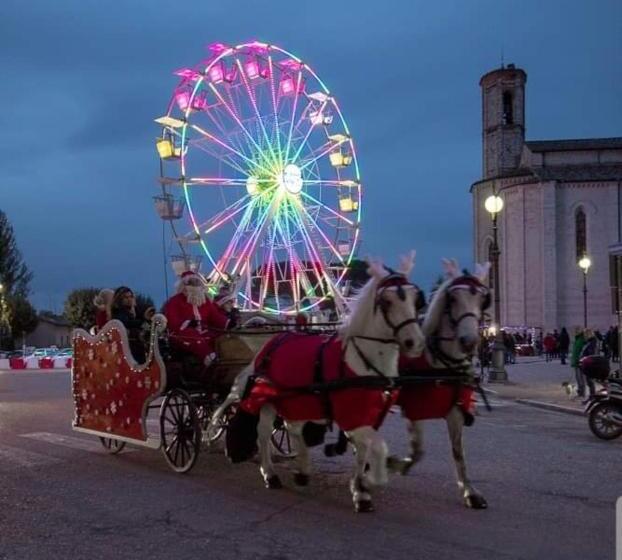 호텔 Agriturismo Tognoloni