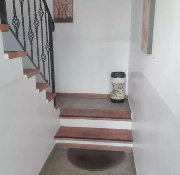 پانسیون A Santy S Roomsbagno Condiviso Sharedboth2piano No Lift No Shuttle  No Pasti No Meal,  A Pagamento A