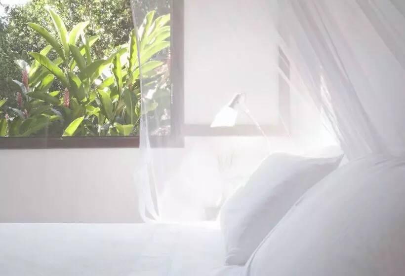 هاستل O Sitio  Ilha Grande