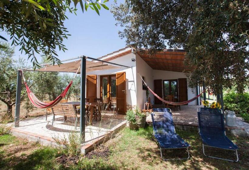 בית מלון כפרי Agriturismo Fontetrilla