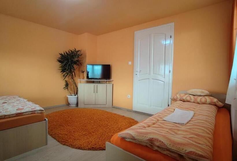 펜션 Gabriella Vendégház