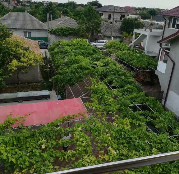 پانسیون Vila Andre