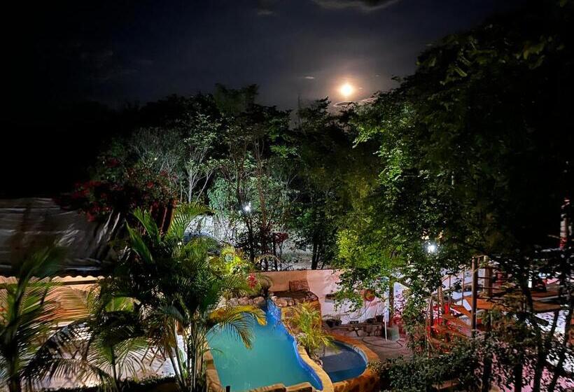 بنسيون Villa Almm