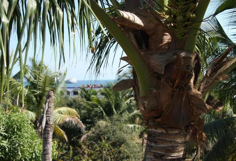 ユースホステル Posada Paloma