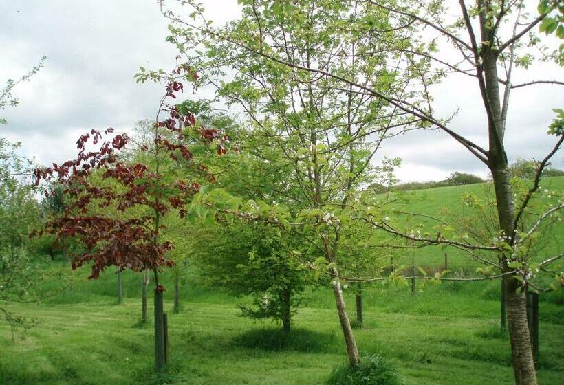 مبيت وإفطار Foxhill Barn