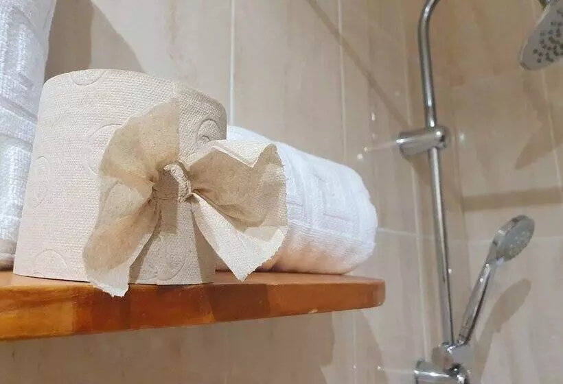 پانسیون Toledorooms Palacios