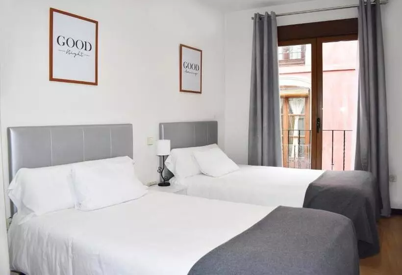 پانسیون Toledorooms Palacios