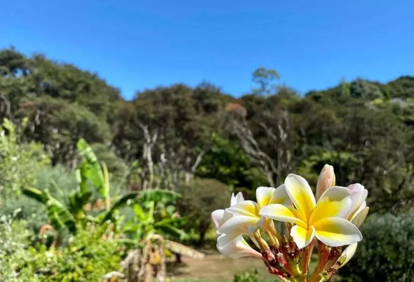 Majatalo Waiheke Island Guesthouse