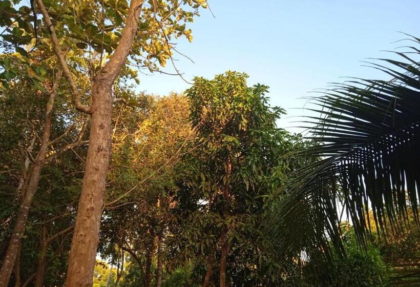 ペンション Green Garden Hiriketiya