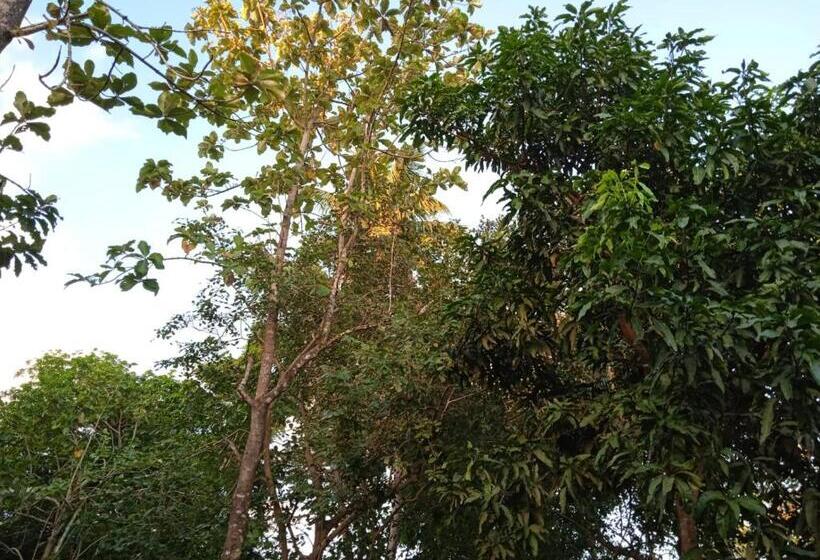 ペンション Green Garden Hiriketiya