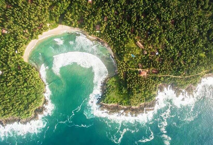 ペンション Green Garden Hiriketiya