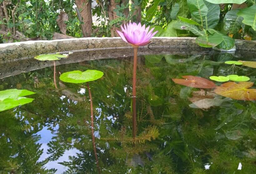 ペンション Green Garden Hiriketiya