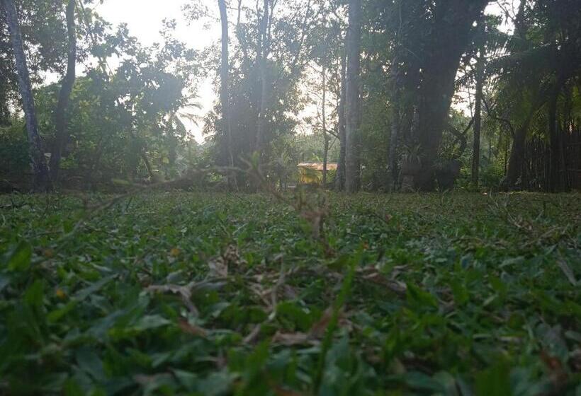 ペンション Green Garden Hiriketiya