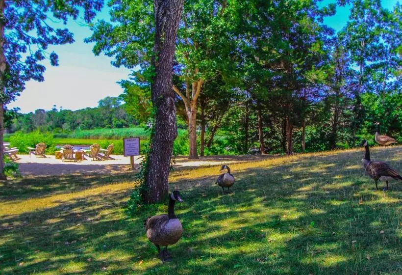 Hotelli The Cove At Yarmouth