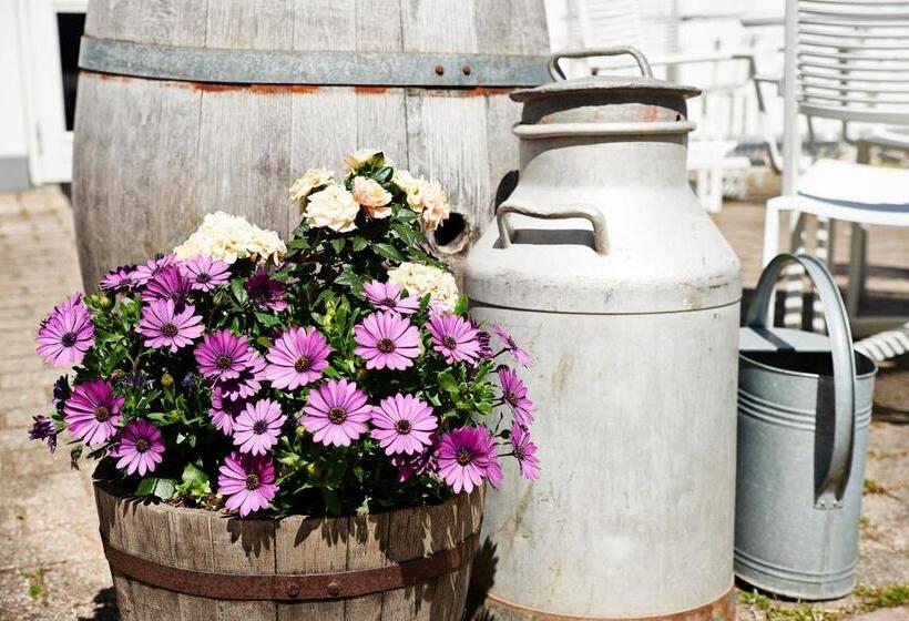 Общежитие Sankt Helene Feriecenter Tisvildeleje