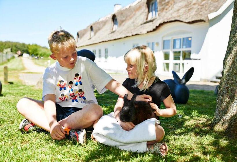 Общежитие Sankt Helene Feriecenter Tisvildeleje