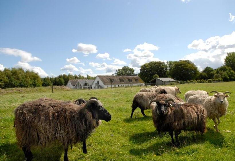 Общежитие Sankt Helene Feriecenter Tisvildeleje