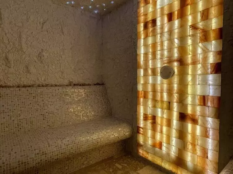 هتل Alexandar Lux